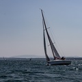 IMG 0264