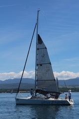 IMG 7810