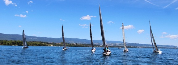 IMG 7857