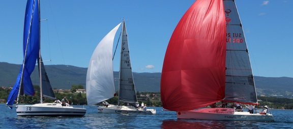 IMG 7880