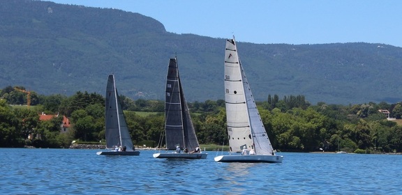 IMG 7864