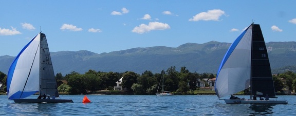 IMG 7945