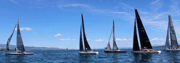 IMG 8019